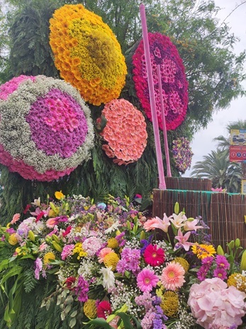 Parada Kwiatów w Funchal | Festiwal Kwiatów Madera Barwny korowód Parady Kwiatów na głównej ulicy Funchal. Ilustracja do artykułu o najważniejszych wydarzeniach na Maderze w latach 2026, 2027 i 2028.