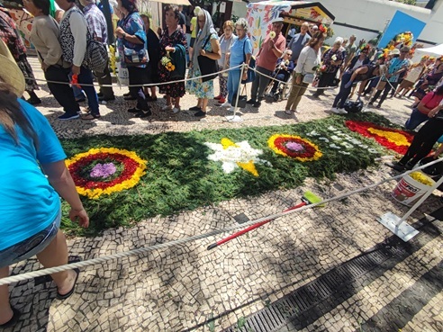 Kwiatowe dywany na ulicach Funchal | Festiwal Kwiatów Madera 2026-2028 Barwne dywany z kwiatów zdobiące zabytkowe ulice Funchal podczas Festiwalu Kwiatów. Ilustracja do artykułu o wydarzeniach na Maderze w latach 2026, 2027 i 2028, przedstawiająca tradycyjne dekoracje Festa da Flor.